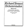 Strauss, Richard - Orchestral Studies Stage Works: Clarinet Vol. 3