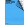 20 Flight Rock Pvg