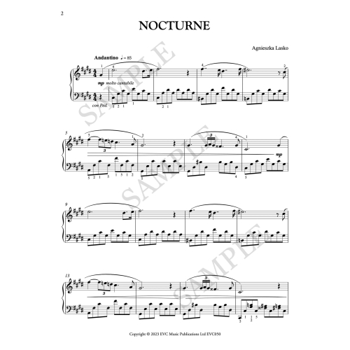 22 Nocturnes for Chopin