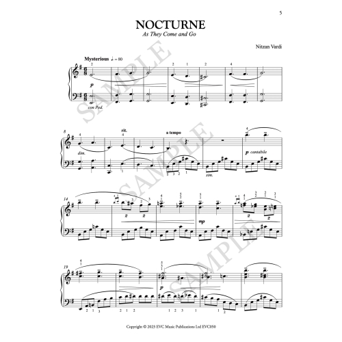 22 Nocturnes for Chopin