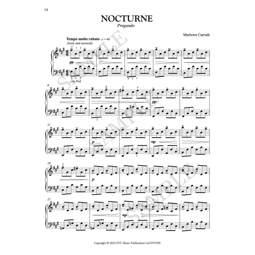 22 Nocturnes for Chopin