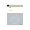 Bach, J.S - Concerto D minor BWV 1052 