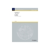 Wolf, Hugo Philipp Jakob - Songs 