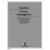 Schubert, Franz - Sonata "Arpeggione" D 821 