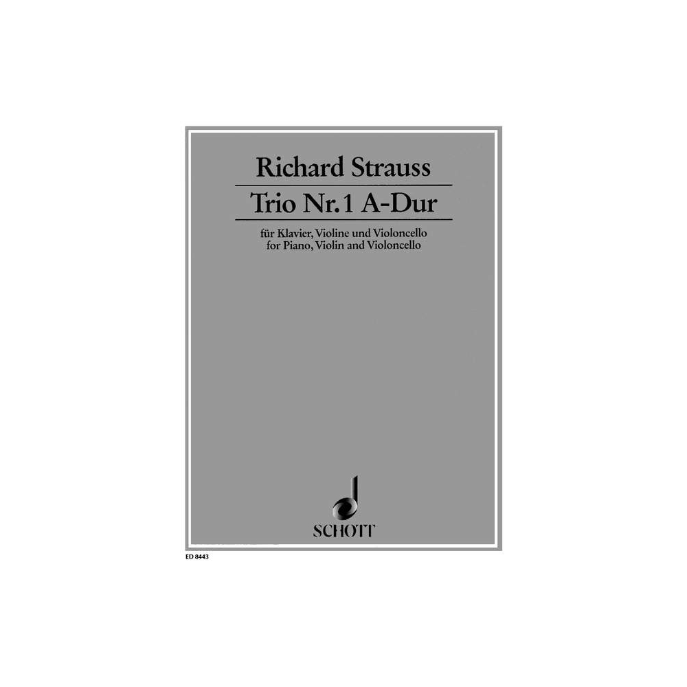 Strauss, Richard - Trio No. 1 o. Op. AV 37 AV 37