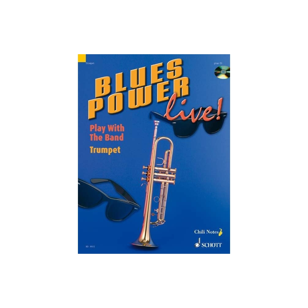 Dechert, Gernot - Blues Power live! 