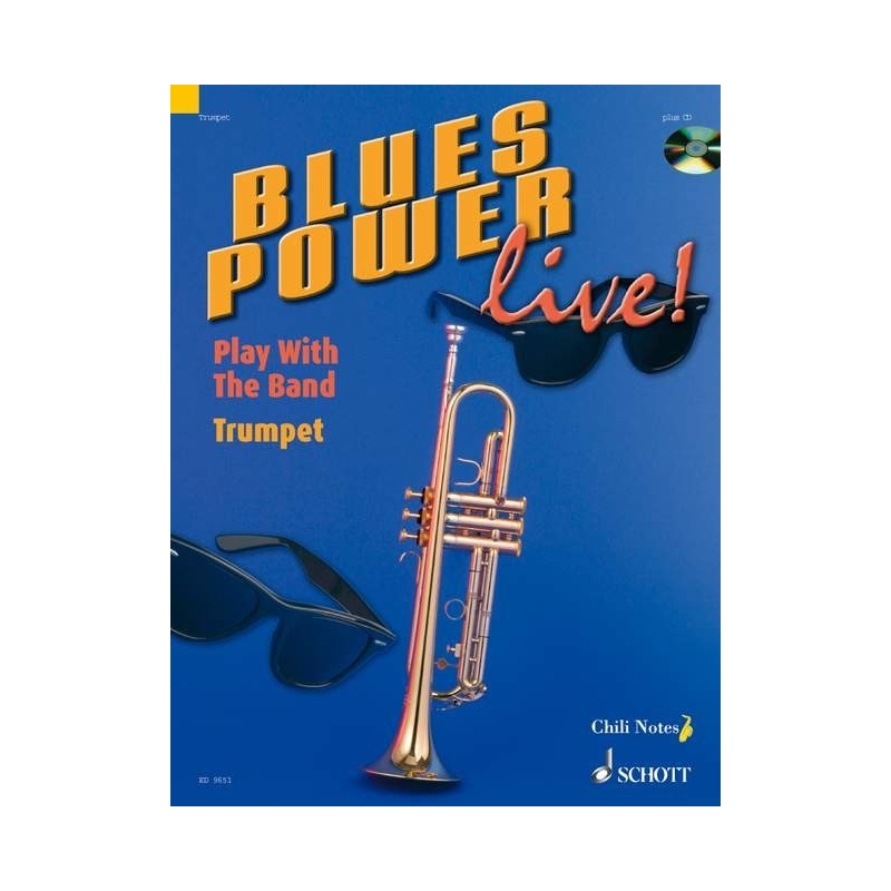 Dechert, Gernot - Blues Power live! 