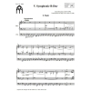 Bruckner - Symphony No. 5 (Organ)