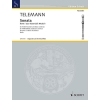 Telemann, Georg Philipp - Sonata D minor 