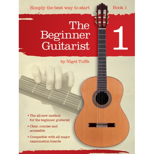 Beginner Guitarist