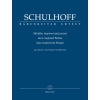Jazz Inspired Works for Piano - Erwin Schulhoff