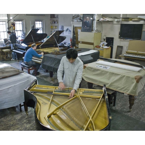 Piano Tuning, Repair and Restoration