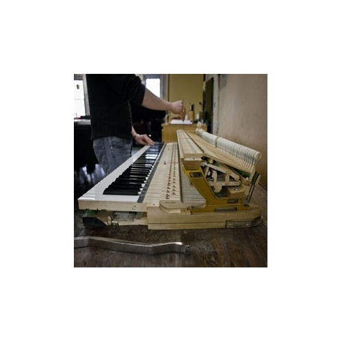 Piano Tuning, Repair and Restoration