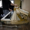 Piano Tuning, Repair and Restoration