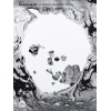 Radiohead - A Moon Shaped Pool