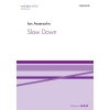 Assersohn, Ian - Slow Down