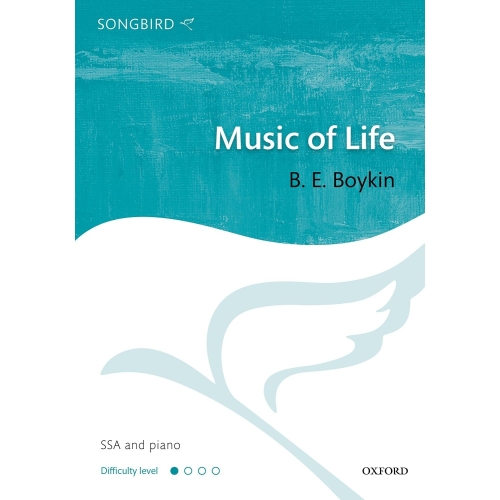 Boykin, B. E. - Music of Life