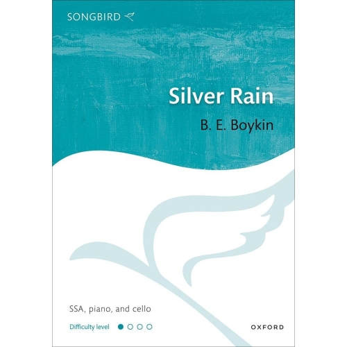 Boykin, B. E. - Silver Rain