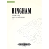 Bingham, Judith - Hidden City
