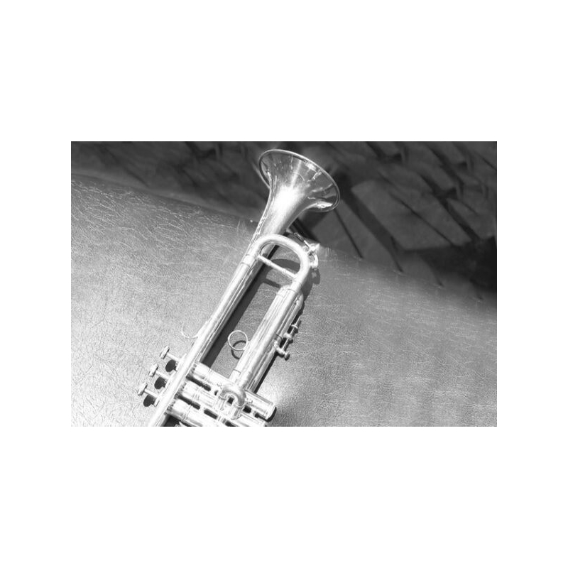 Card Trumpet