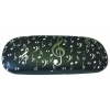 Glasses Case Music Notes