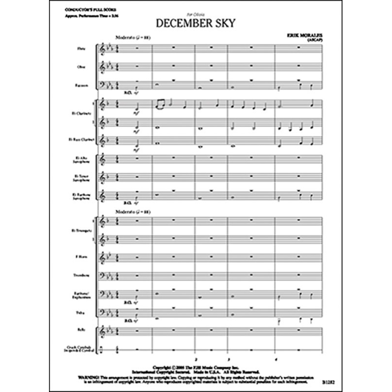 Erik Morales - December Sky