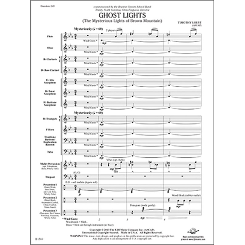 Timothy Loest - Ghost Lights