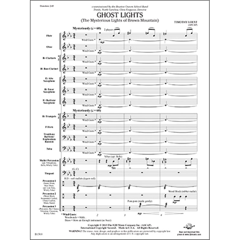 Timothy Loest - Ghost Lights