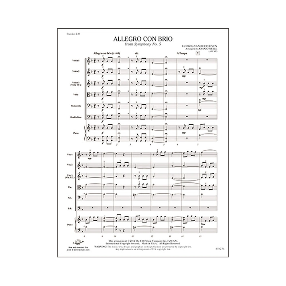 Ludwig van Beethoven - Symphony 5 Allegro Con Brio