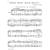 Black Beauty - Graves, Richard