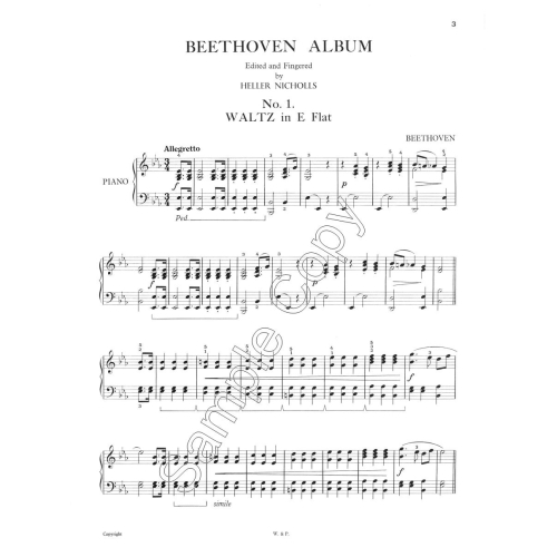 Beethoven - Silhouette Series - Nicholls, Heller