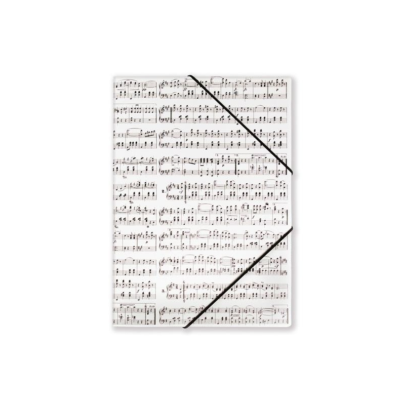 File with elastic band Strauss