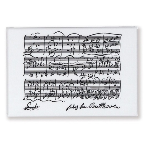 Magnet Beethoven white