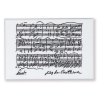 Magnet Beethoven white