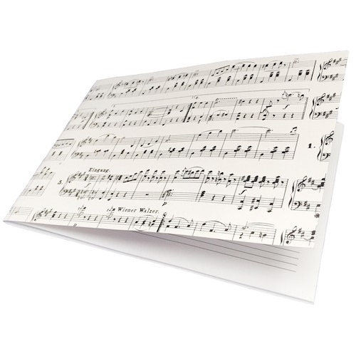 Manuscript book Strauss A5