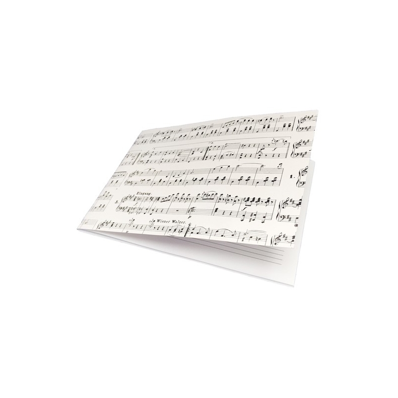 Manuscript book Strauss A5