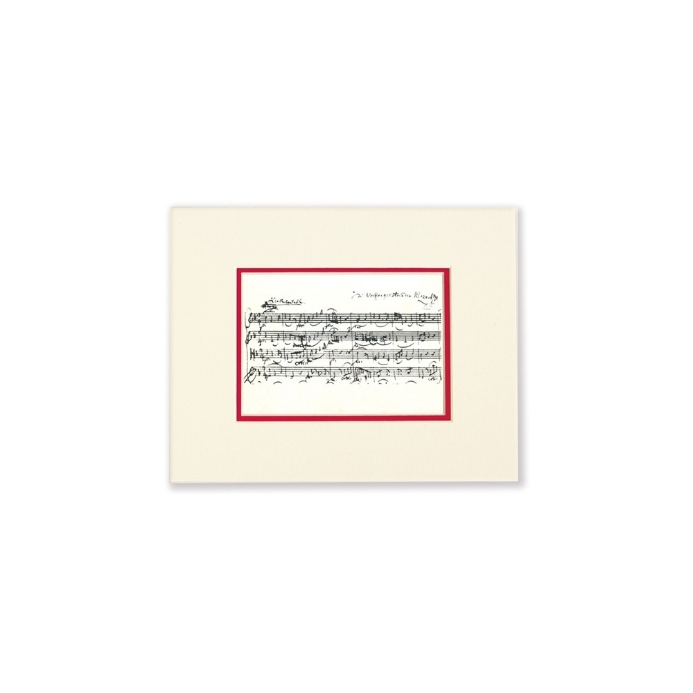 Passepartout Mozart Notes