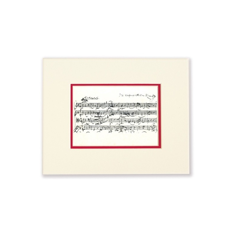 Passepartout Mozart Notes