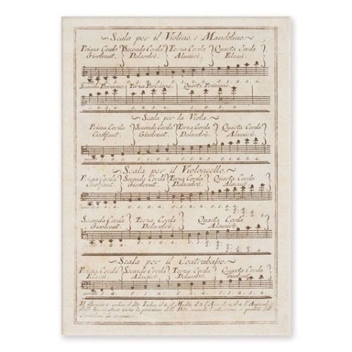 Postcard Scala Violino (10...