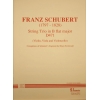 Schubert: String Trio, D471