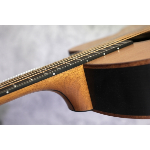 Lowden F35 Stage Edition Bog Oak / Cedar