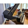 Kawai GL30 with ATX4 Silent Grand Piano in Black Polyester