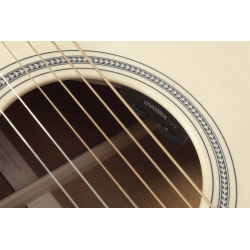 Martin D-16E Acoustic Guitar