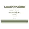 Brødsgaard, Anders - Brainstorm I & II
