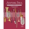 Arcari & Putnam - Adaptable Trios 