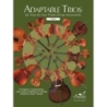Arcari & Putnam - Adaptable Trios 