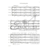 Sea Shanty Saga 
