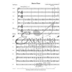 Neidhold, Caryn Wiegand - Brave Fires 