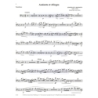 Ropartz, Joseph Guy Marie - Andante et Allegro 