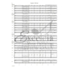Arcari, Tyler - Capstone 